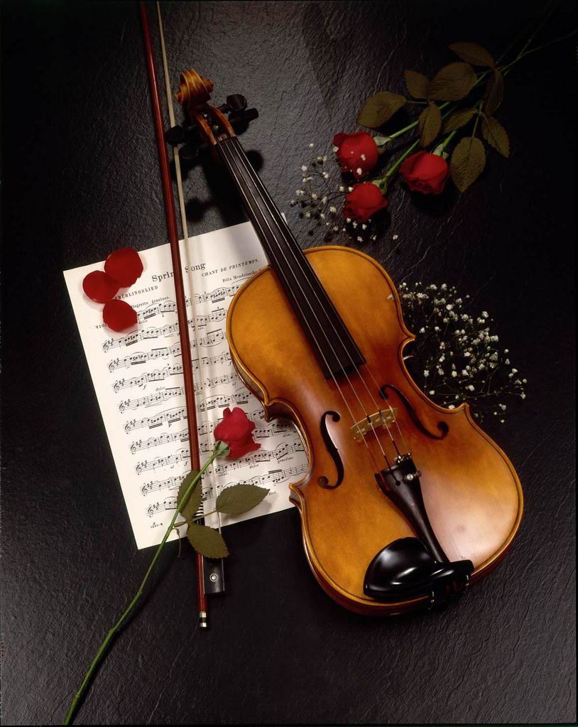 violino.jpg