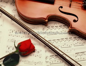 roses and violin
